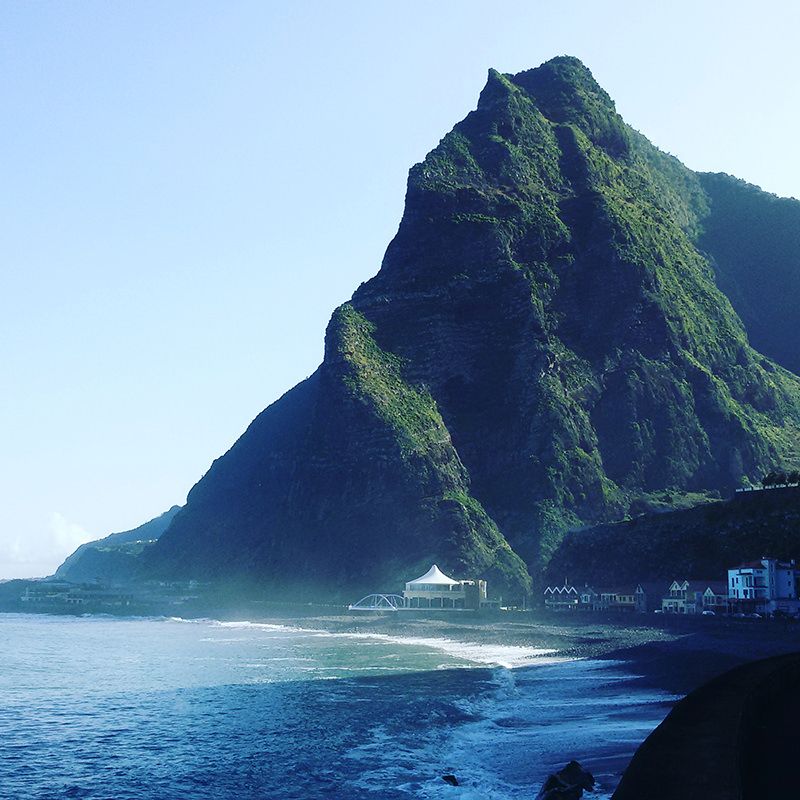 Wild North Coast Tour